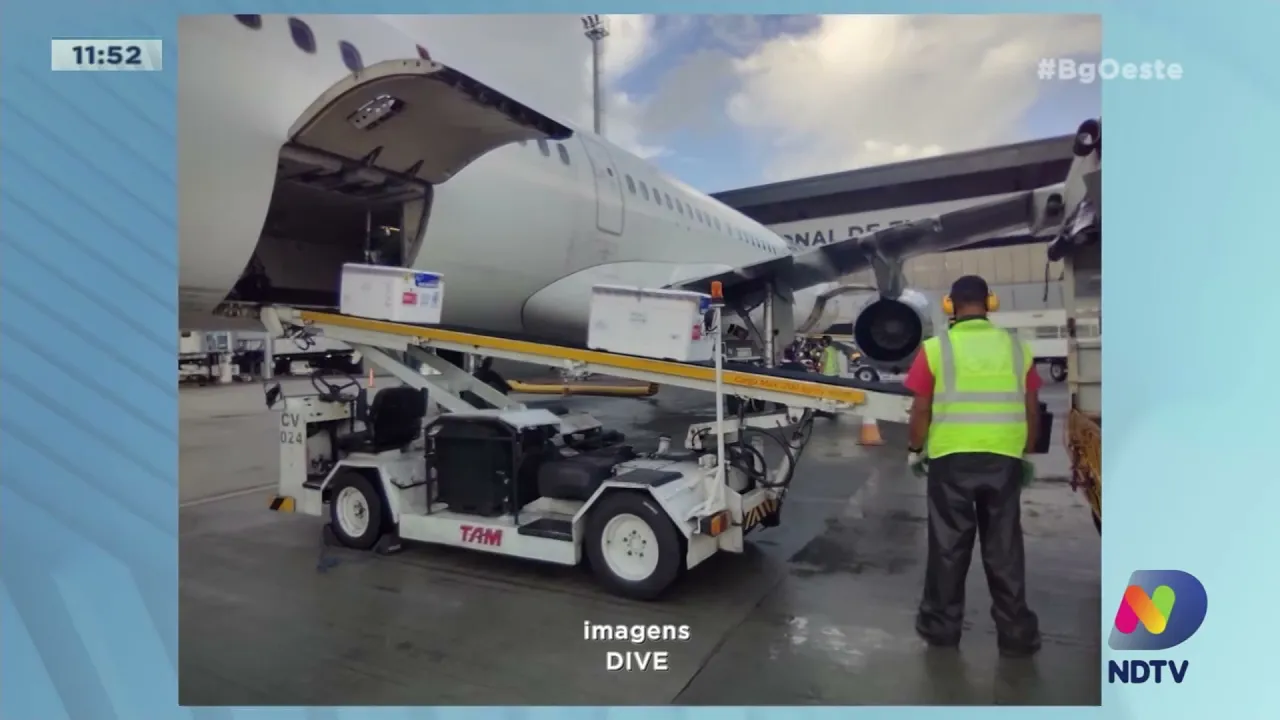 Covid-19: Santa Catarina recebe mais 144 mil vacinas