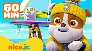 دوريات المخلاب رابل من باو باترول ينقذ الحيوانات البرية مع تشايس Nick Jr Arabia 