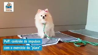 Puff: controle de impulsos com o exercício do place