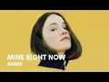 Sigrid - Mine Right Now (Lyrics)