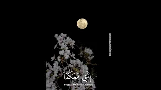 قال لا تخافا إنني معكما أسمع وأرى حالات واتس ايات قرانية قصيرة للقارئ محمد ديبيروف تلاوات 