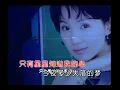 蔡幸娟 - 星星知我心