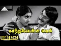 Lagu காற்றுக்கென்ன வேலி HD Video Song | அவர்கள் | கமல்ஹாசன் | ரஜினிகாந்த் | சுஜாதா | M.S.விஸ்வநாதன்