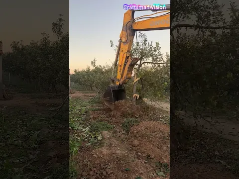 Orchard Renovation: Remove Old Low-yield Pear Trees & Plant High-yield Varieties
