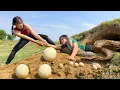 Rescue Girl Attacked by Giant Python - Giant Python Attacks While Laying Eggs