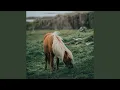 Download Lagu Laugin (feat. Sigurður Jóhannsson)
