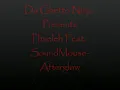 Phaeleh Feat. Soundmouse-Afterglow