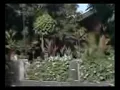Download Lagu film om psp (pancaran sinar patromak) full movie