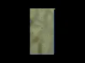 Desert Heat - OSRS Theme