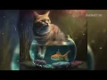 Download Lagu Enchan   Very Sad Official Audio