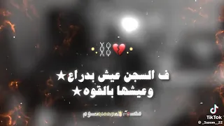 اسلام كابونجا نور التوت حالات واتس هتفكرو تعيشو علياا دندنها
