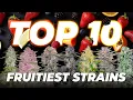 Top 10 Fruitiest Cannabis Strains Fast Buds Autoflowers