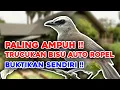 Lagu 99% TERBUKTI ! Perangsang ROPEL 99% AMPUH Memancing Trucukan Malas Bunyi Biar ROPEL dan GACOR