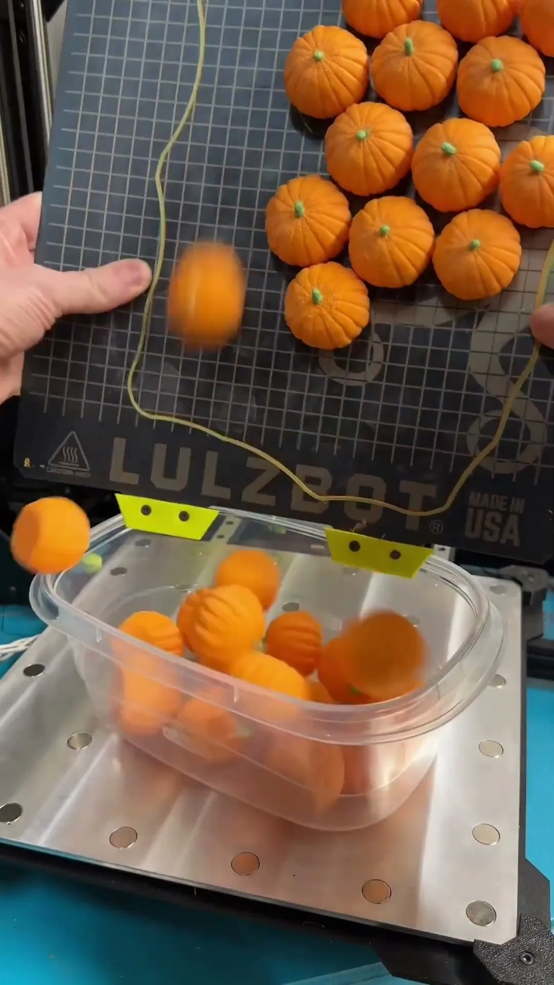 100 Pumpkins – FDM Single Colour
