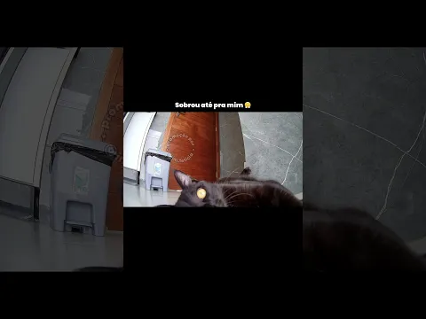 Se eu não filmo, ninguém acredita 🤣🤖