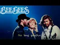Download Lagu Bee Gees - The Only Love Karaoke
