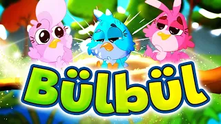 Bülbül | Cennet Kuşları Bebek Türkçe طيور الجنة