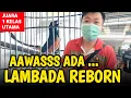 Download Lagu LAMBADA REBORN KEMBALI ‼️  BAWA HADIAH MOTOR di Kopdar Prasasti