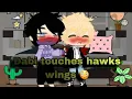 Dabihawks dont touch hawks wings spicy