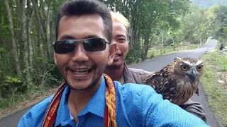 Download MENGINTIP Jejak PAWANG Ular dan Burung Hantu MP3