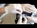 Download Lagu Pigeon Wing Wrap (Rehabilitation) - Wild at Heart Vet Techniques