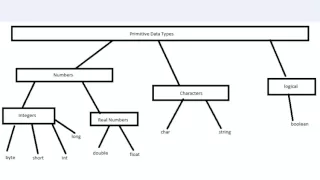 Visual Basic Tutorial 5 Primitive Data Types 