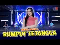 Shinta Arsinta - Rumput Tetangga (Official Music Video)