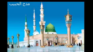 اوقفت العمر عليه بمديح بين يديه دندنها