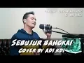 Download Lagu SEBUJUR BANGKAI - Rhoma Irama. (Cover) by Adi Kdi