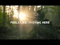 Seether - Fine Again (Lyric Video)