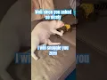 Download Lagu Zuri and Denver.#monkey #cat #love #sub#shortsfeed #likesharesubscribe #shortsvideo #funny #musicgen