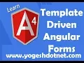 angular 4 template driven form validation Lecture 19 example Hindi