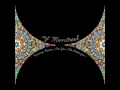 of Montreal - Gronlandic Edit