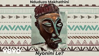 nduduzo makhathini nyonini le visualizer 