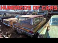 One of the BEST Junkyards I ve Ever Been To Tons of RARE Cars