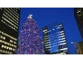 WSJ s Holiday Travel Booking Guide