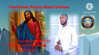 Faarfannaa Haaraa Afaan Oromoo Dhumeera Barichi Fta Nugusaa Badhaasaatiin 