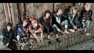 A Supplementary Story You Never Walk Alone BTS Color Coded HAN PT ROM 