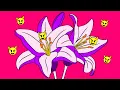 How to Get Rid of Pollen Allergy Symptoms FAST