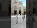 Download Lagu Annabi sallu alai salwa tullah alai #shorts #shortvideo #youtubeshorts #islamicvideo #madina