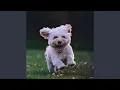 Download Lagu Happy Upbeat Fun Pop