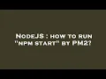 NodeJS how to run npm start by PM2