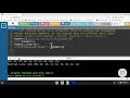 Python Lists Sorting Reversing and Counting items in lists