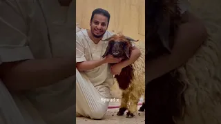 شباب البومب 10 عـامـر الكنترول كفووو فخامة تصميم رهيب جديد2022 HD  شباب البومب 10 عـامـر الكنترول كفووو فخامة تصميم رهيب جديد2022 HD