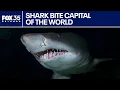 How common are shark bites in Florida really