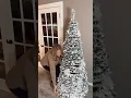Genius Christmas find This gorgeous tree pops up and down in seconds