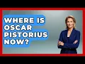 Where Is Oscar Pistorius Now - True Crime Lovers