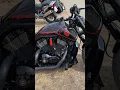 Lagu Harley Davidson Meeting Night Rod V-Rod #shortvideo #harley #exhaust #nightrod #nightrodspecial