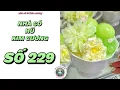 Lagu [Truyện audio] [FULL] NHÀ CÓ HŨ KIM CƯƠNG SỐ 229 ||  Nhà có hũ kim cương  ~ KÊNH CHÍNH CHỦ ~