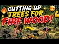 CUTTING UP TREES FOR FIRE WOOD
